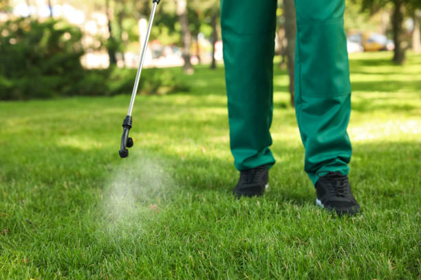 Best Best Pest Control Companies  in Trenton, OH