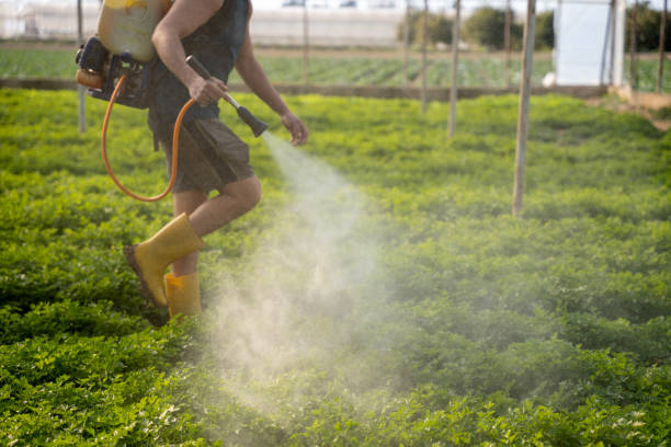 Professional Pest Control in Trenton, OH