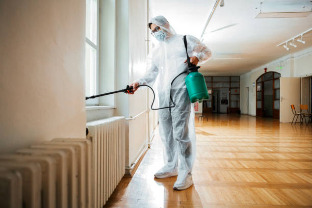 Best Local Pest Control Services  in Trenton, OH