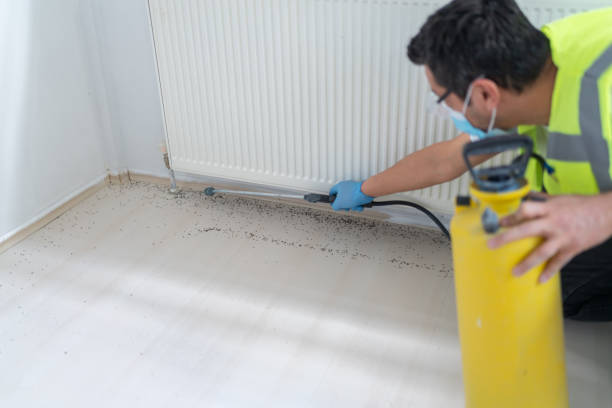 Best Affordable Pest Control Services  in Trenton, OH