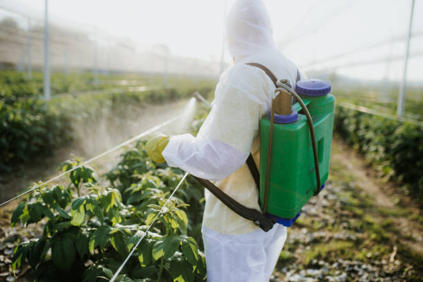 Best Residential Pest Control  in Trenton, OH